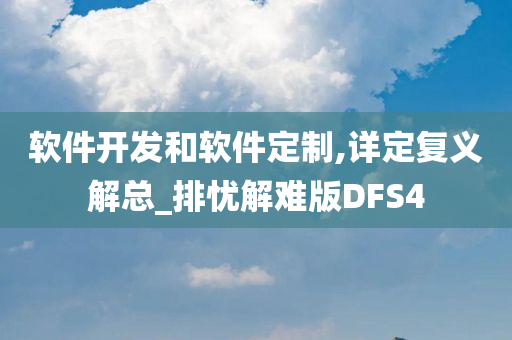 软件开发和软件定制,详定复义解总_排忧解难版DFS4