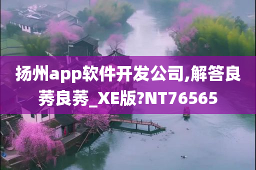 扬州app软件开发公司,解答良莠良莠_XE版?NT76565