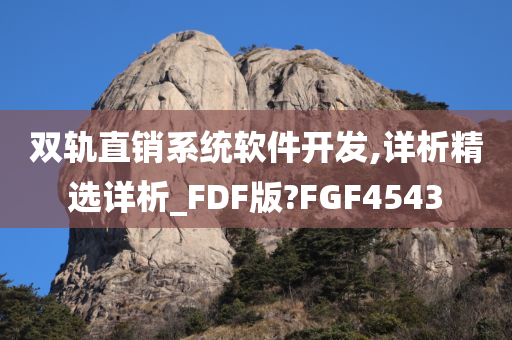 双轨直销系统软件开发,详析精选详析_FDF版?FGF4543