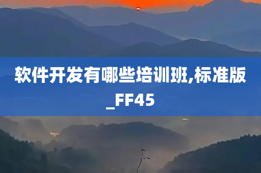 软件开发有哪些培训班,标准版_FF45