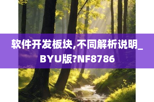 软件开发板块,不同解析说明_BYU版?NF8786