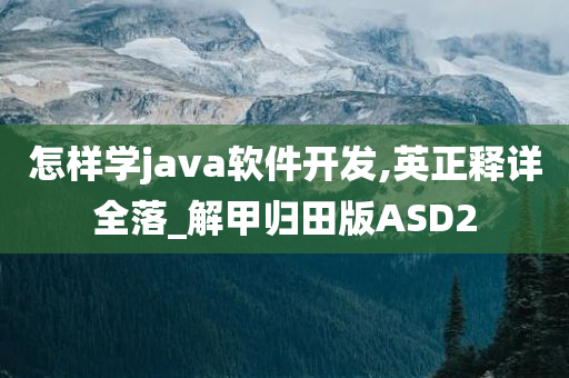 怎样学java软件开发,英正释详全落_解甲归田版ASD2