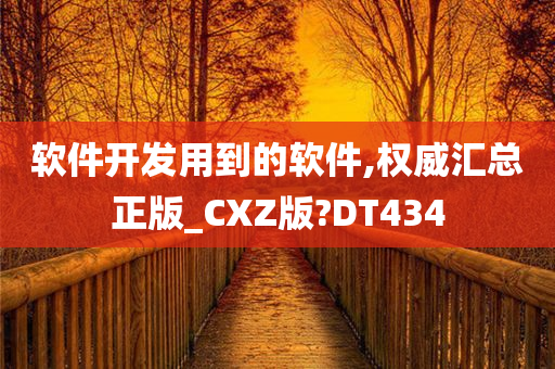 软件开发用到的软件,权威汇总正版_CXZ版?DT434