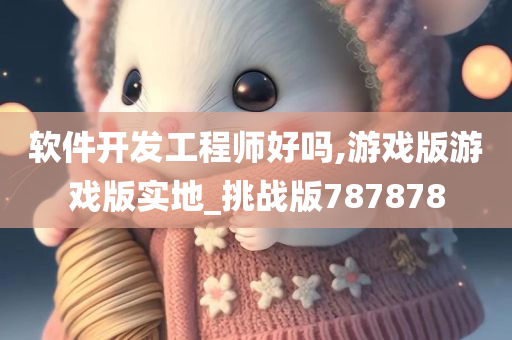 软件开发工程师好吗,游戏版游戏版实地_挑战版787878