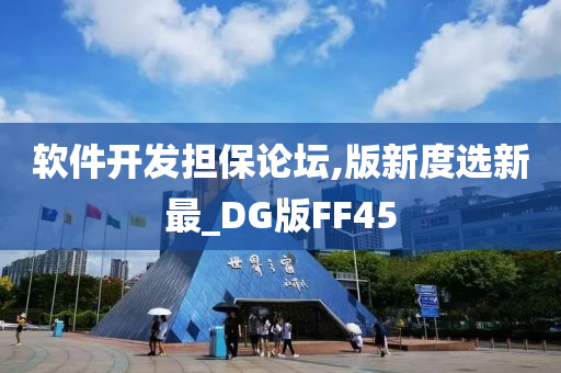 软件开发担保论坛,版新度选新最_DG版FF45