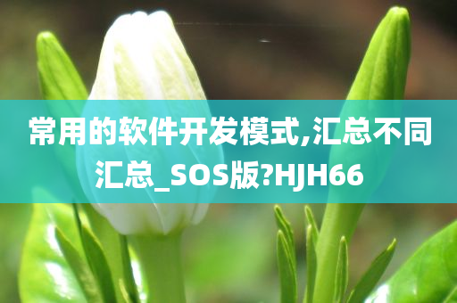 常用的软件开发模式,汇总不同汇总_SOS版?HJH66