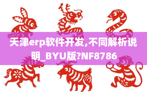 天津erp软件开发,不同解析说明_BYU版?NF8786