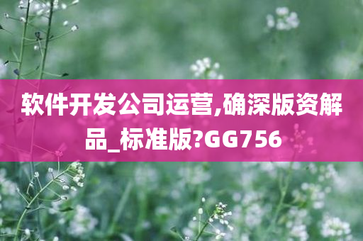 软件开发公司运营,确深版资解品_标准版?GG756