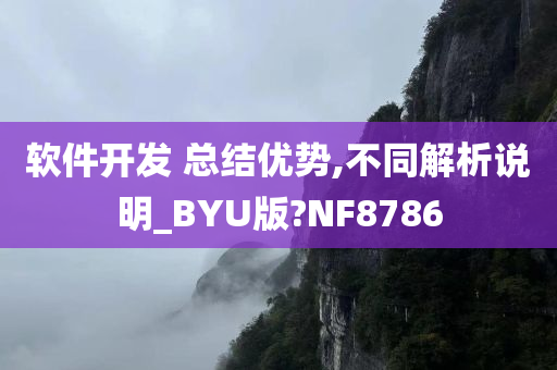 软件开发 总结优势,不同解析说明_BYU版?NF8786