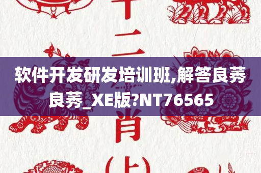 软件开发研发培训班,解答良莠良莠_XE版?NT76565