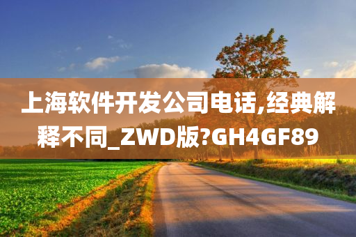 上海软件开发公司电话,经典解释不同_ZWD版?GH4GF89