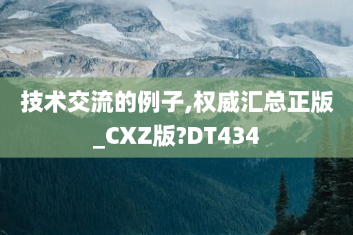 技术交流的例子,权威汇总正版_CXZ版?DT434