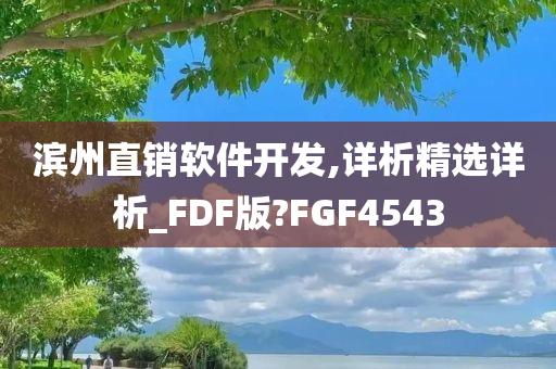 滨州直销软件开发,详析精选详析_FDF版?FGF4543