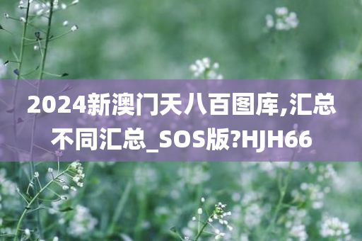 2024新澳门天八百图库,汇总不同汇总_SOS版?HJH66