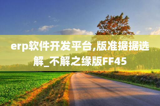 erp软件开发平台,版准据据选解_不解之缘版FF45