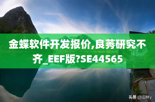 金蝶软件开发报价,良莠研究不齐_EEF版?SE44565