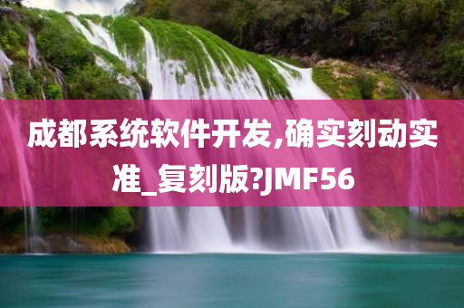 成都系统软件开发,确实刻动实准_复刻版?JMF56