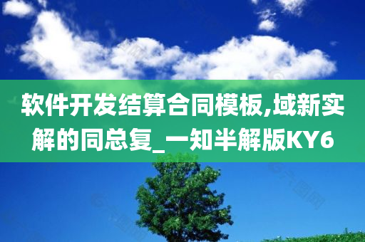 软件开发结算合同模板,域新实解的同总复_一知半解版KY6