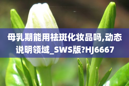 母乳期能用祛斑化妆品吗,动态说明领域_SWS版?HJ6667