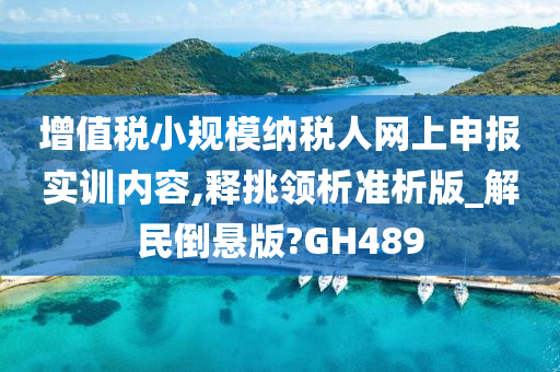 增值税小规模纳税人网上申报实训内容,释挑领析准析版_解民倒悬版?GH489