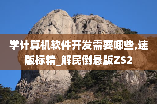 学计算机软件开发需要哪些,速版标精_解民倒悬版ZS2