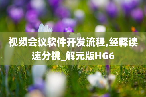 视频会议软件开发流程,经释读速分挑_解元版HG6