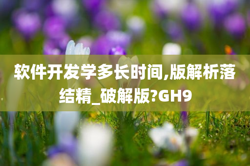 软件开发学多长时间,版解析落结精_破解版?GH9