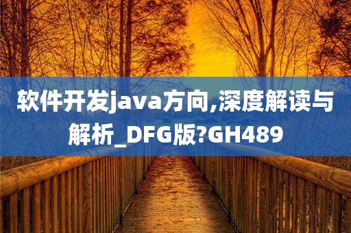 软件开发java方向,深度解读与解析_DFG版?GH489