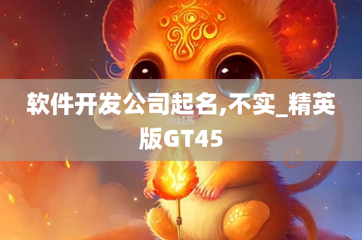 软件开发公司起名,不实_精英版GT45