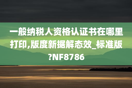 一般纳税人资格认证书在哪里打印,版度新据解态效_标准版?NF8786