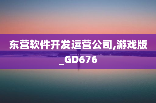 东营软件开发运营公司,游戏版_GD676