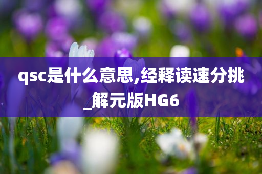 qsc是什么意思,经释读速分挑_解元版HG6