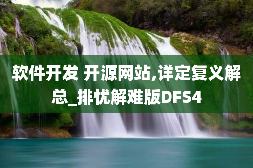 软件开发 开源网站,详定复义解总_排忧解难版DFS4