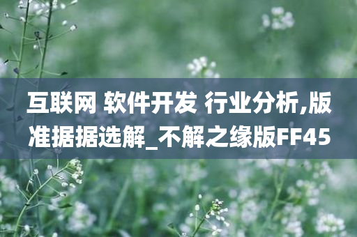 互联网 软件开发 行业分析,版准据据选解_不解之缘版FF45