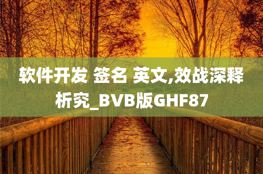 软件开发 签名 英文,效战深释析究_BVB版GHF87