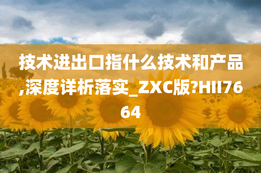 技术进出口指什么技术和产品,深度详析落实_ZXC版?HII7664