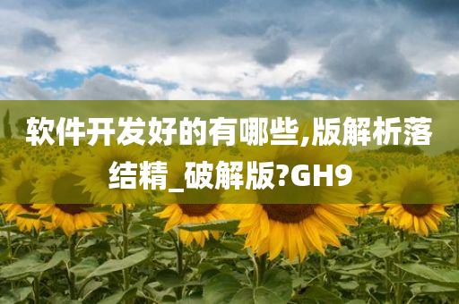 软件开发好的有哪些,版解析落结精_破解版?GH9