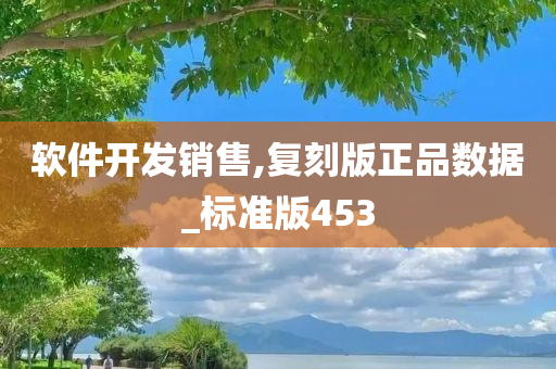 软件开发销售,复刻版正品数据_标准版453