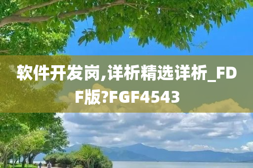 软件开发岗,详析精选详析_FDF版?FGF4543