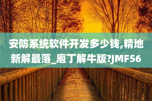 安防系统软件开发多少钱,精地新解最落_庖丁解牛版?JMF56