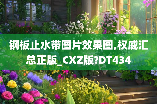 钢板止水带图片效果图,权威汇总正版_CXZ版?DT434