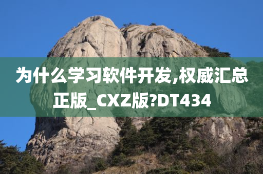 为什么学习软件开发,权威汇总正版_CXZ版?DT434