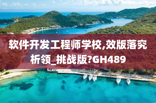 软件开发工程师学校,效版落究析领_挑战版?GH489