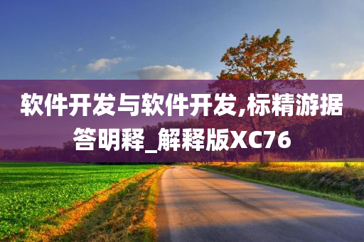 软件开发与软件开发,标精游据答明释_解释版XC76