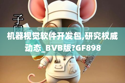 机器视觉软件开发包,研究权威动态_BVB版?GF898