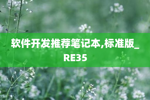 软件开发推荐笔记本,标准版_RE35