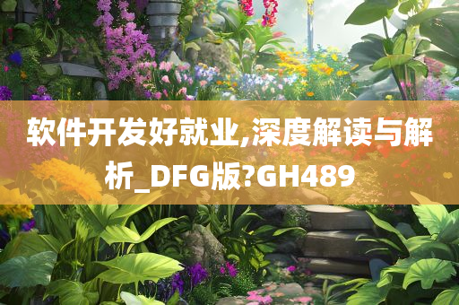 软件开发好就业,深度解读与解析_DFG版?GH489