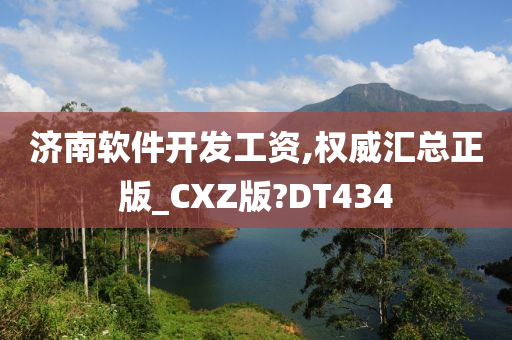 济南软件开发工资,权威汇总正版_CXZ版?DT434