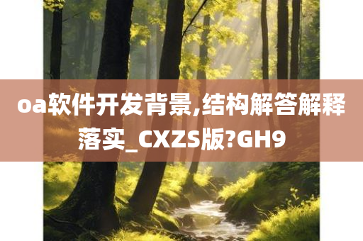 oa软件开发背景,结构解答解释落实_CXZS版?GH9