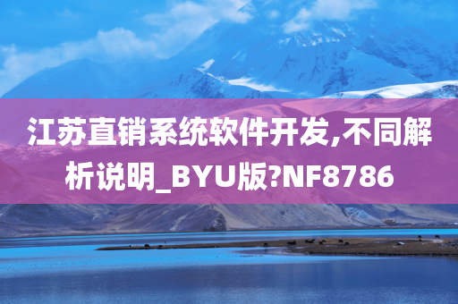 江苏直销系统软件开发,不同解析说明_BYU版?NF8786